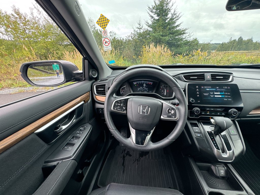 2019 Honda CR-V EX | Roof | Cam | USB | Htd Seats in Saint John, New Brunswick - 17 - w1024h768px