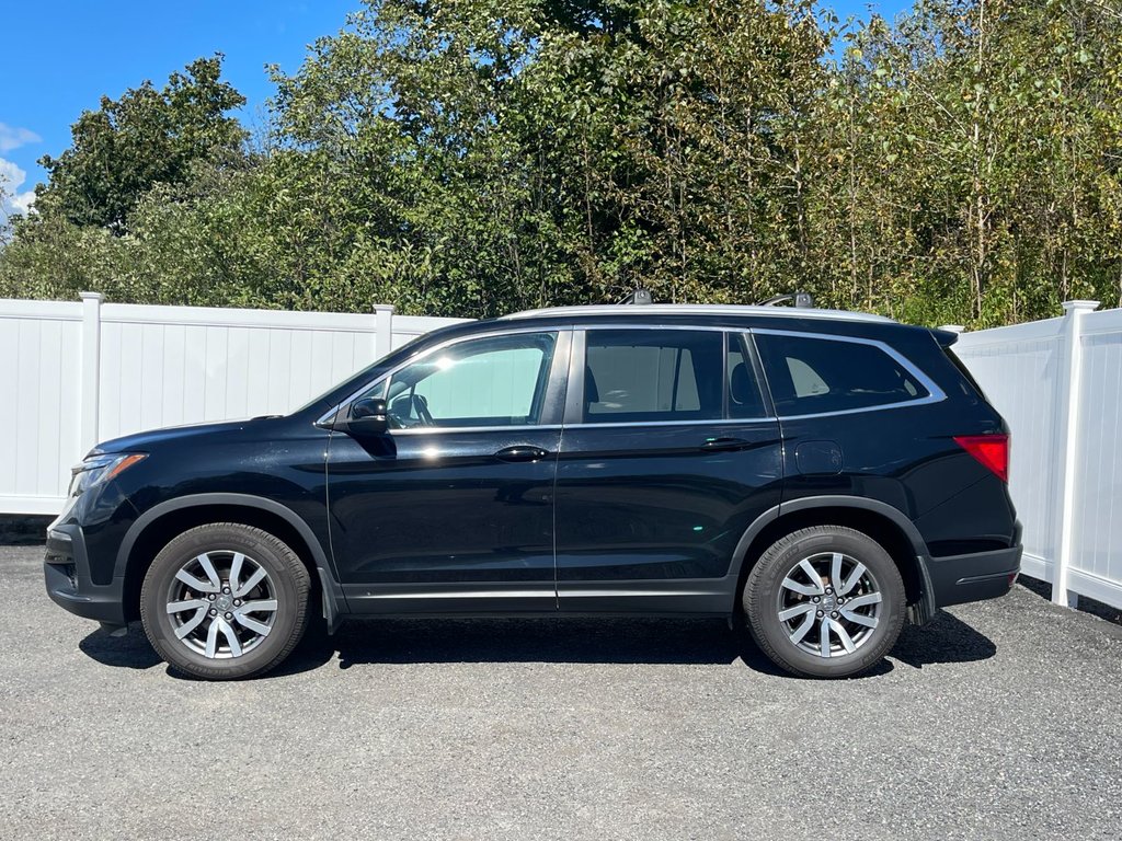 2021 Honda Pilot EX-L NAVI | 8 psg | Leather | Roof | Cam | USB in Saint John, New Brunswick - 6 - w1024h768px