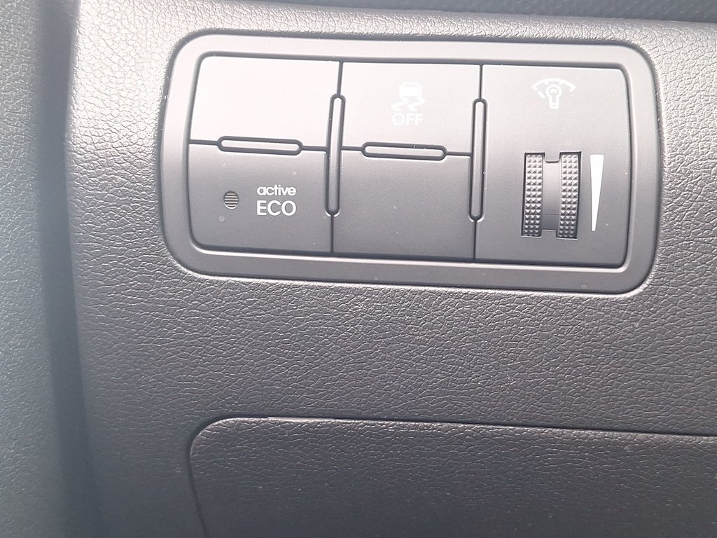 Hyundai ACCENT SE | Roof | USB 2017 à Saint John, Nouveau-Brunswick - 22 - w1024h768px