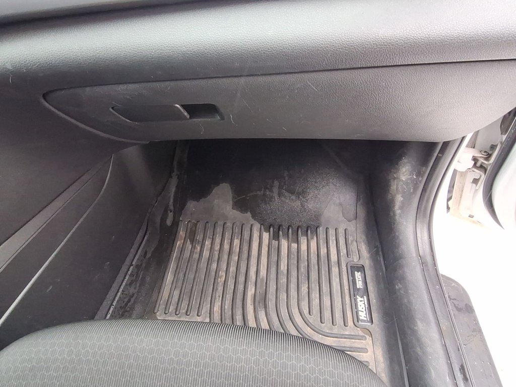 2017 Hyundai Elantra GLS | Roof | Cam | Htd Seats | USB in Saint John, New Brunswick - 44 - w1024h768px