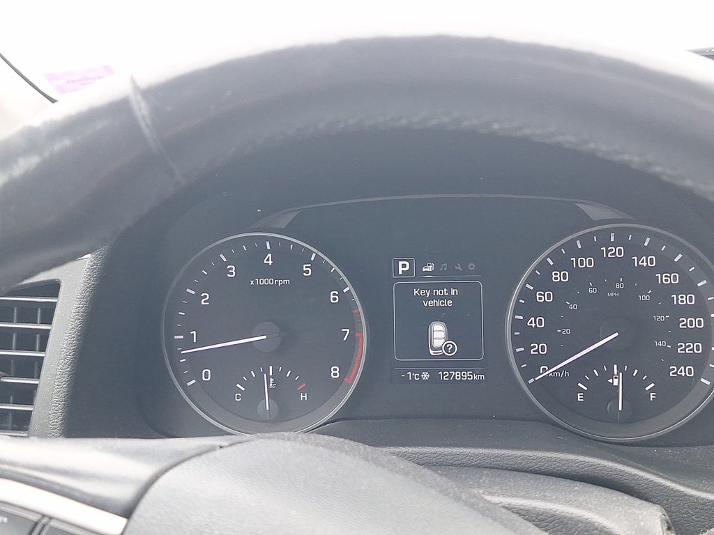 2017 Hyundai Elantra GLS | Roof | Cam | Htd Seats | USB in Saint John, New Brunswick - 24 - w1024h768px