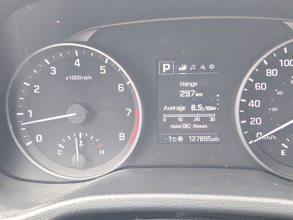 2017 Hyundai Elantra GLS | Roof | Cam | Htd Seats | USB in Saint John, New Brunswick - 31 - w1024h768px