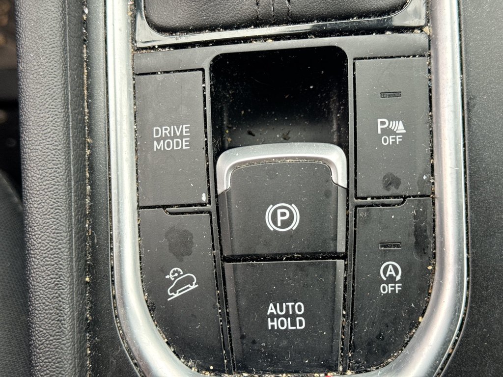 2020 Hyundai Santa Fe Preferred | Cam | USB | Htd Wheel in Saint John, New Brunswick - 30 - w1024h768px