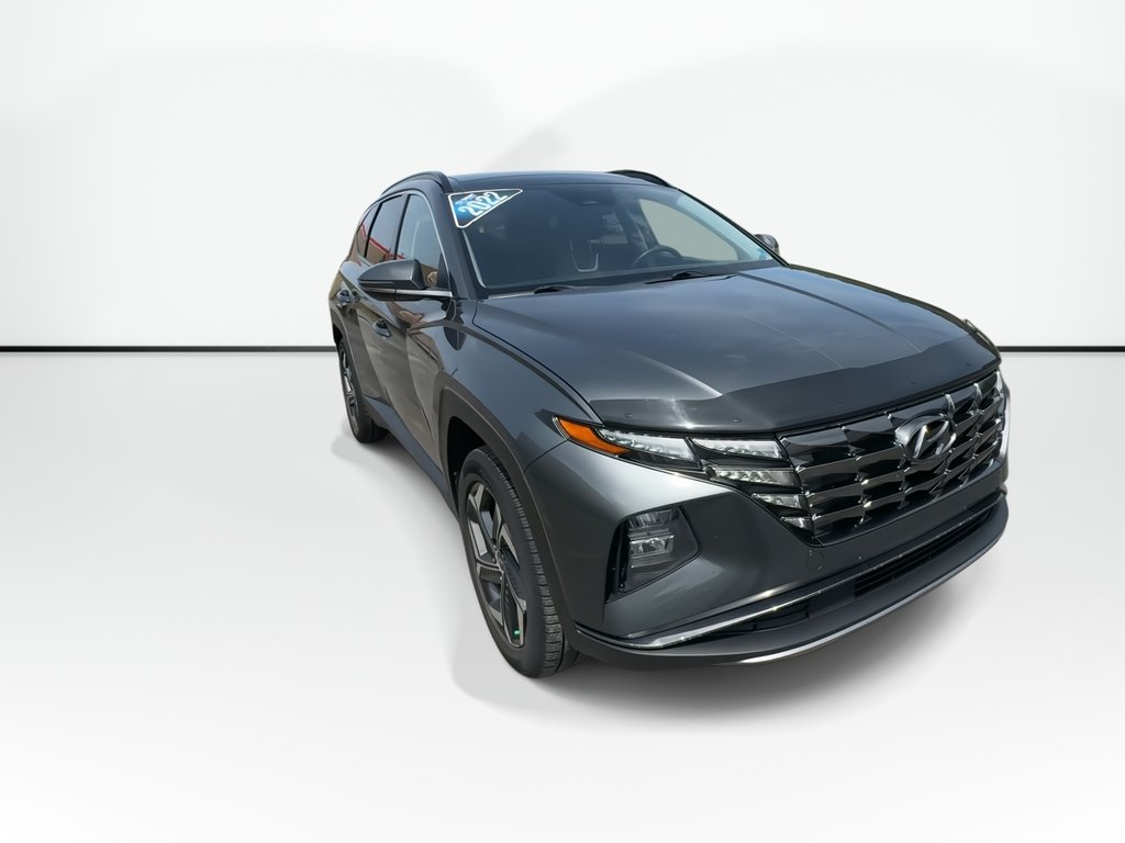 2022 Hyundai Tucson Hybrid Luxury | Roof | Cam | Nav | USB in Saint John, New Brunswick - 3 - w1024h768px
