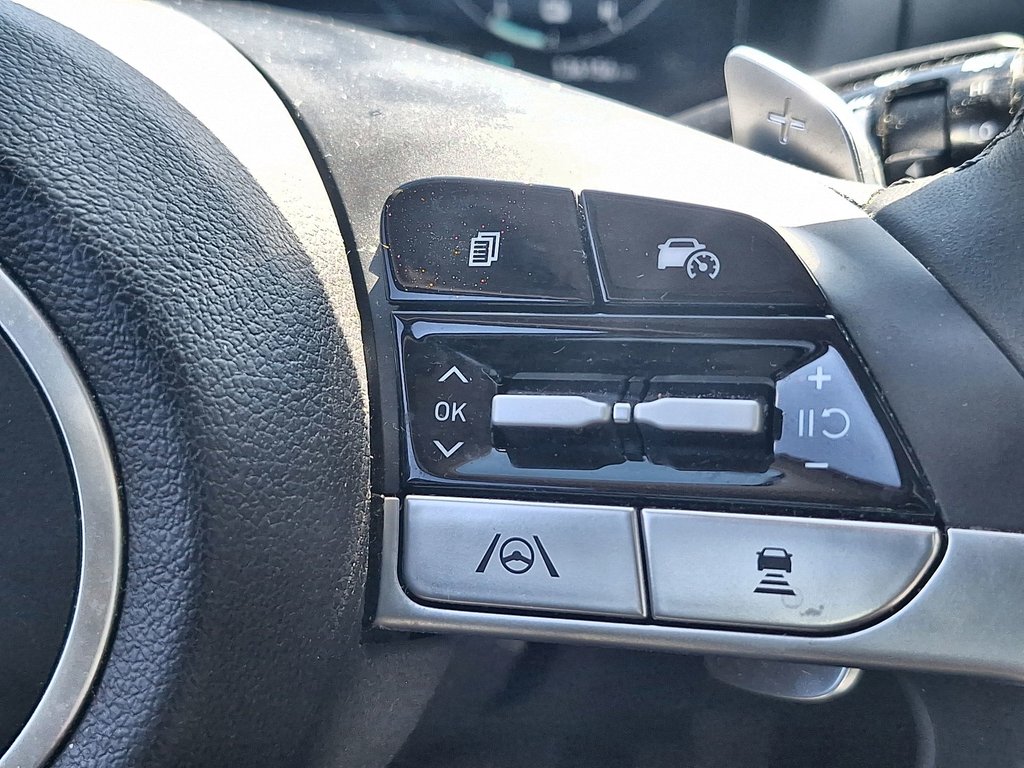 2022 Hyundai Tucson Hybrid Luxury | Roof | Cam | Nav | USB in Saint John, New Brunswick - 21 - w1024h768px
