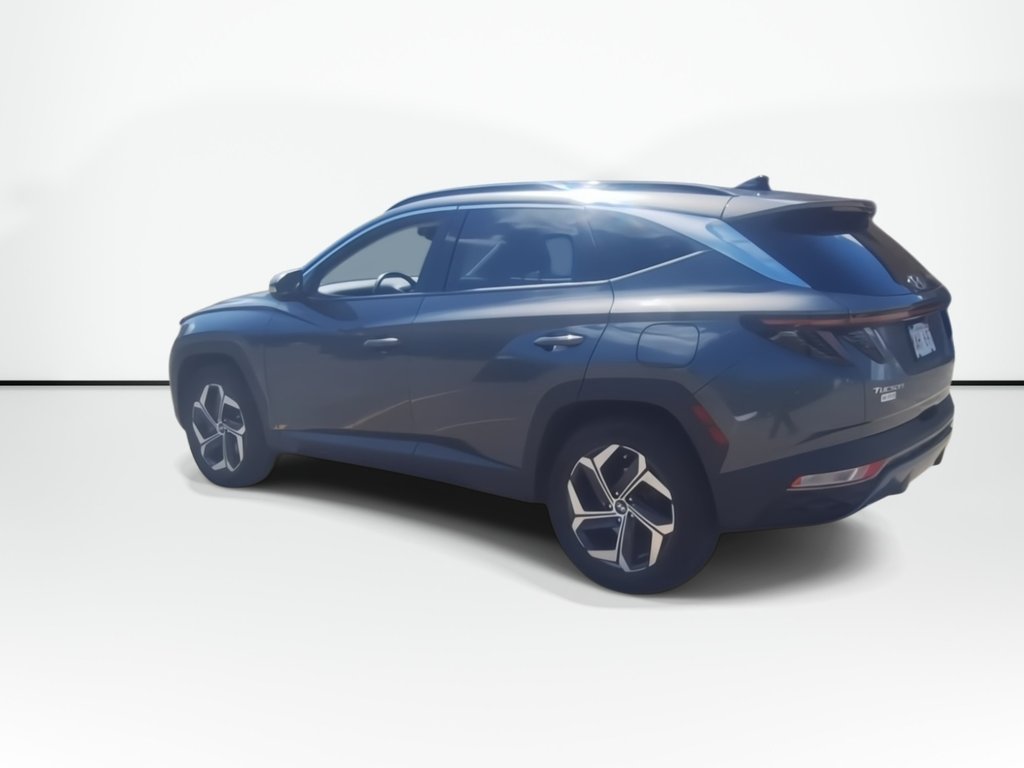 2022 Hyundai Tucson Hybrid Luxury | Roof | Cam | Nav | USB in Saint John, New Brunswick - 6 - w1024h768px