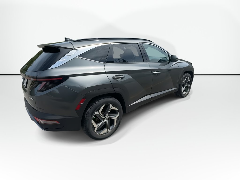 2022 Hyundai Tucson Hybrid Luxury | Roof | Cam | Nav | USB in Saint John, New Brunswick - 9 - w1024h768px