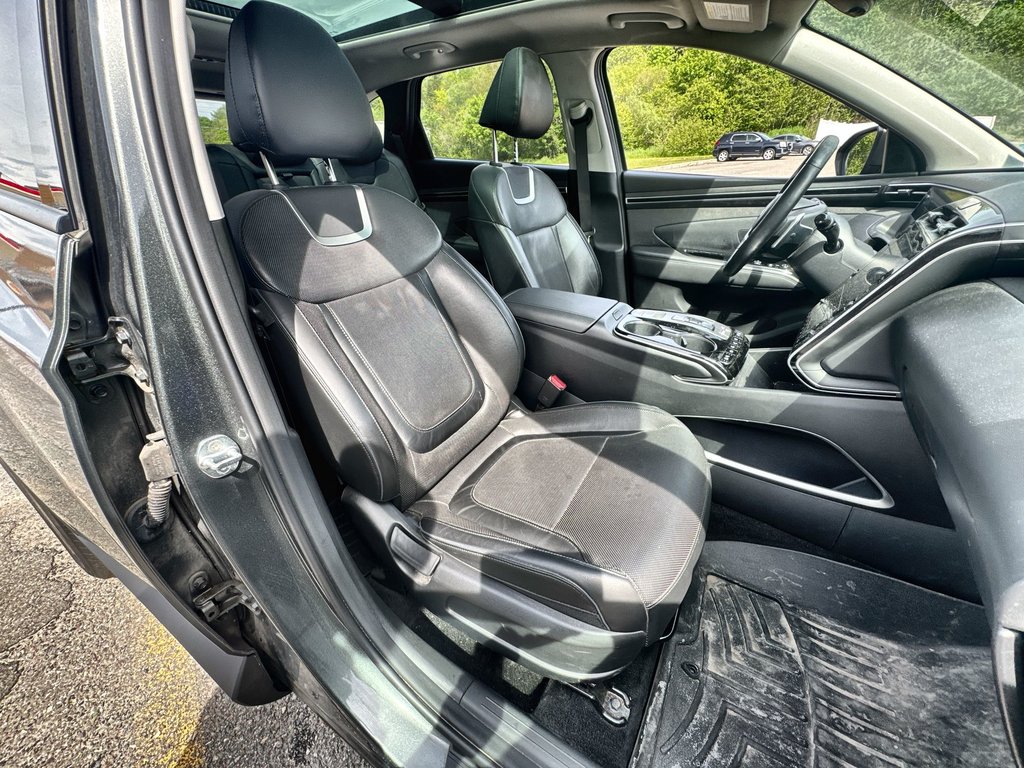 2022 Hyundai Tucson Hybrid Luxury | Roof | Cam | Nav | USB in Saint John, New Brunswick - 42 - w1024h768px