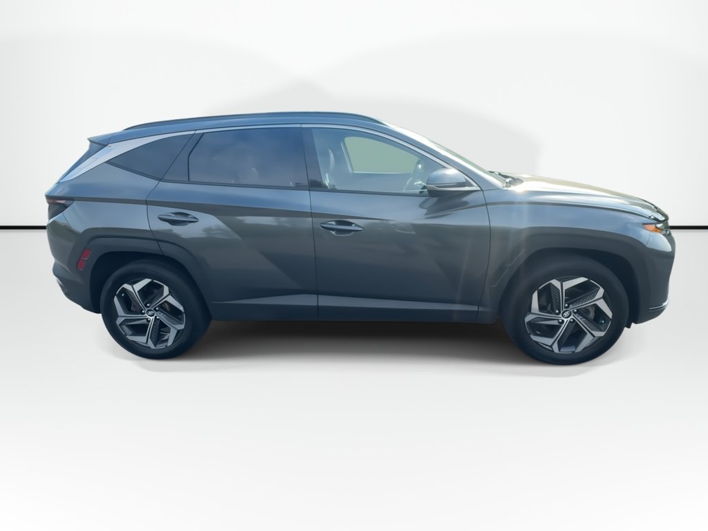 2022 Hyundai Tucson Hybrid in Antigonish, Nova Scotia - 9 - w1024h768px