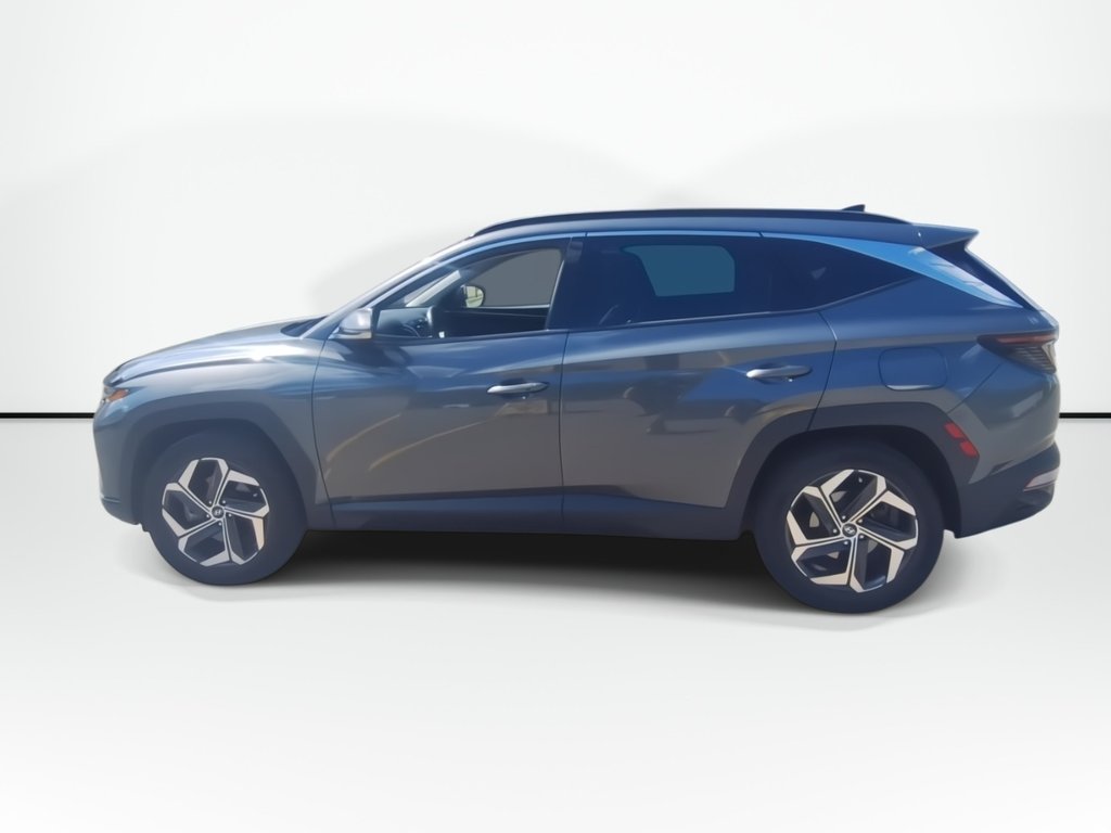 2022 Hyundai Tucson Hybrid Luxury | Roof | Cam | Nav | USB in Saint John, New Brunswick - 5 - w1024h768px