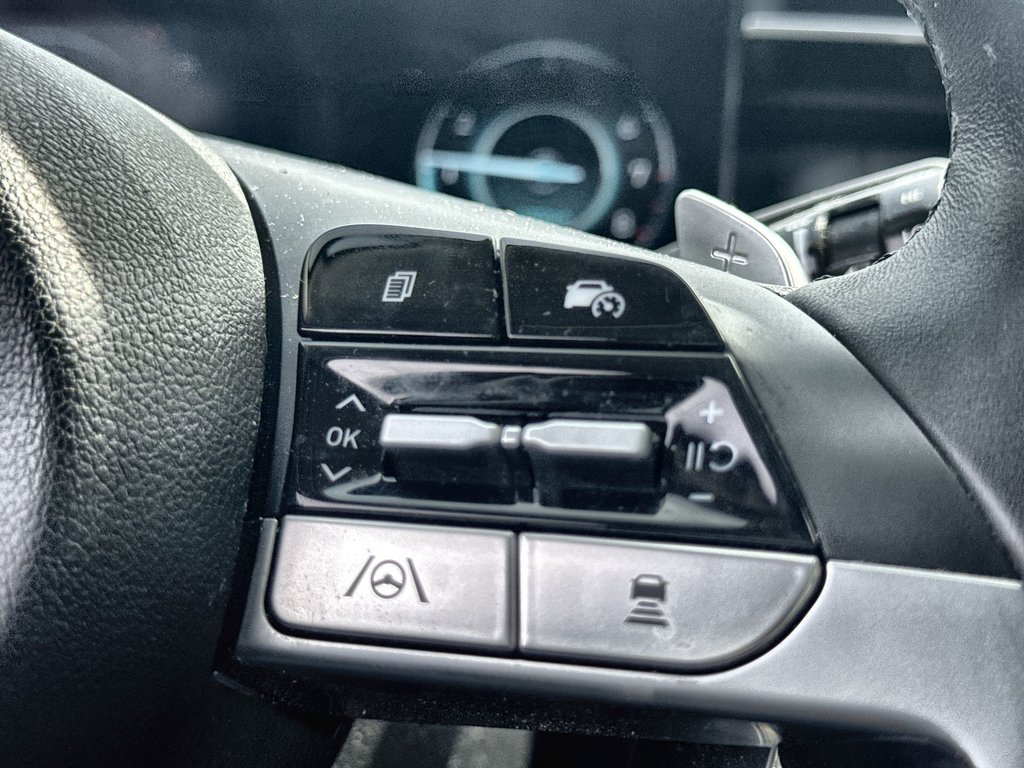 2022 Hyundai Tucson Hybrid Luxury | Roof | Cam | Nav | USB in Saint John, New Brunswick - 21 - w1024h768px