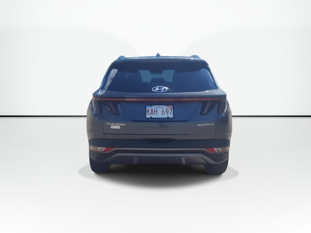 2022 Hyundai Tucson Hybrid Luxury | Roof | Cam | Nav | USB in Saint John, New Brunswick - 7 - w1024h768px