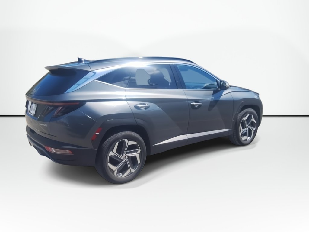 2022 Hyundai Tucson Hybrid Luxury | Roof | Cam | Nav | USB in Saint John, New Brunswick - 8 - w1024h768px