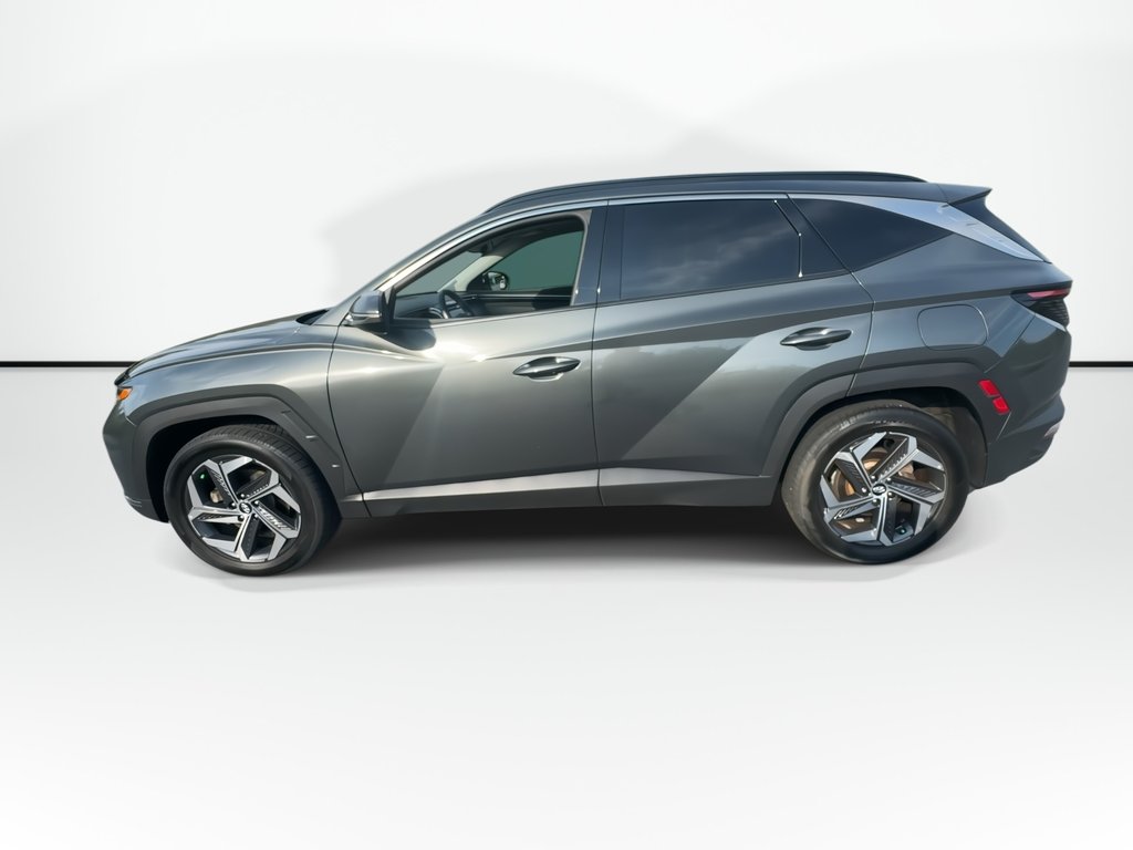 2022 Hyundai Tucson Hybrid in Antigonish, Nova Scotia - 5 - w1024h768px