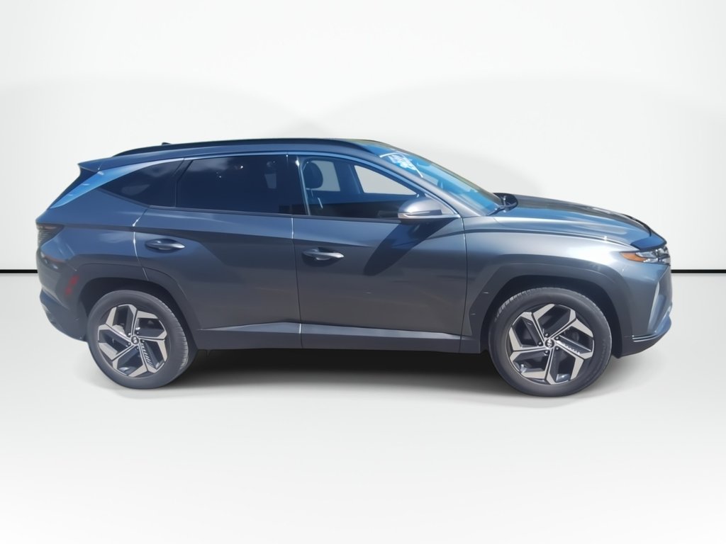 2022 Hyundai Tucson Hybrid Luxury | Roof | Cam | Nav | USB in Saint John, New Brunswick - 9 - w1024h768px