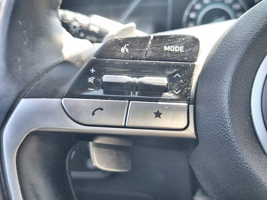 2022 Hyundai Tucson Hybrid Luxury | Roof | Cam | Nav | USB in Saint John, New Brunswick - 20 - w1024h768px