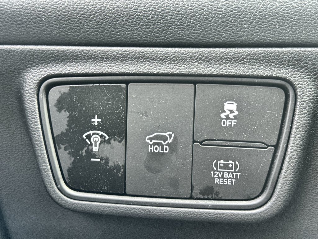 2022 Hyundai Tucson Hybrid Luxury | Roof | Cam | Nav | USB in Saint John, New Brunswick - 22 - w1024h768px