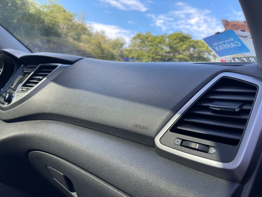 Hyundai Tucson SE | Roof | Leather | Cam | USB 2017 à Saint John, Nouveau-Brunswick - 36 - w1024h768px