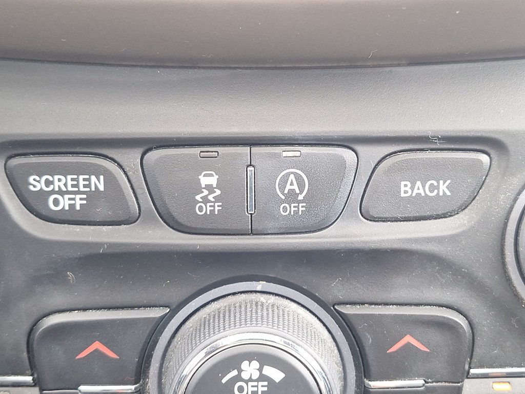 2017 Jeep Cherokee 75th Anniversary | Roof | Cam | USB in Saint John, New Brunswick - 22 - w1024h768px