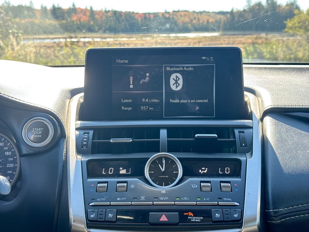 2018 Lexus NX 300 | Leather | Roof | Cam | Htd Wheel in Saint John, New Brunswick - 25 - w1024h768px