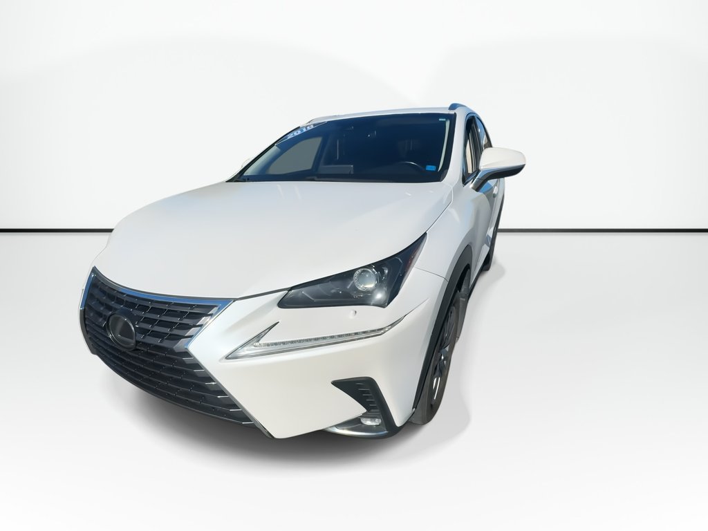 2018 Lexus NX 300 | Leather | Roof | Cam | Htd Wheel in Saint John, New Brunswick - 4 - w1024h768px