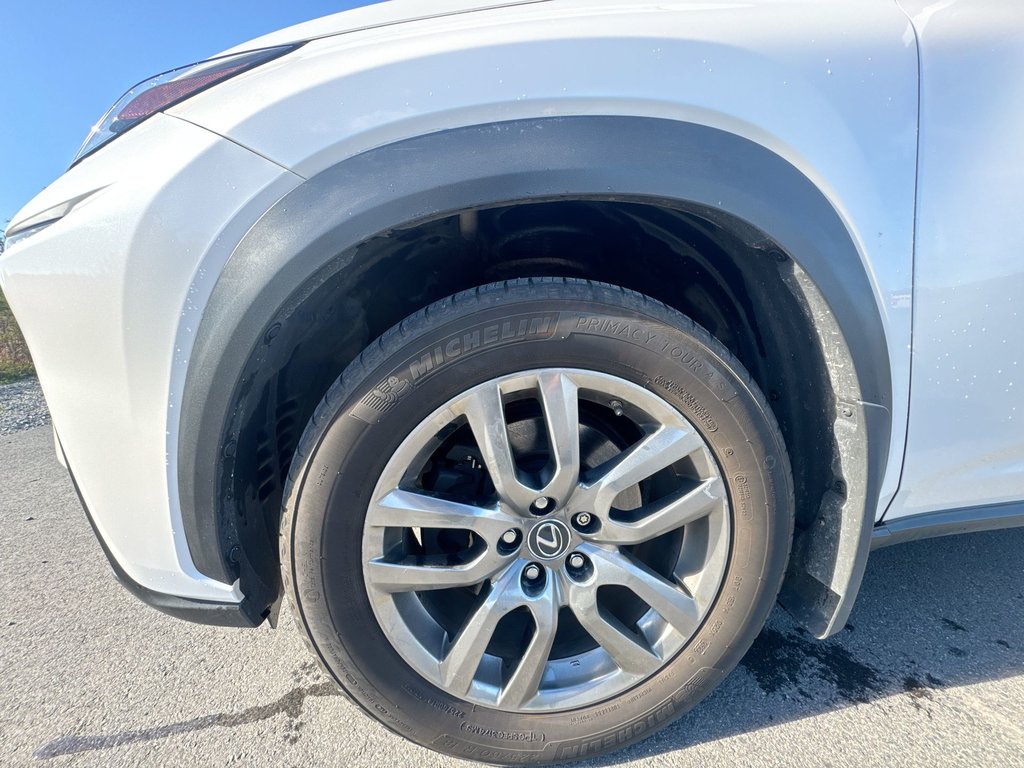2018 Lexus NX 300 | Leather | Roof | Cam | Htd Wheel in Saint John, New Brunswick - 10 - w1024h768px