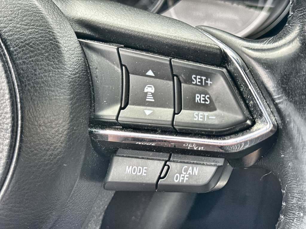 2017 Mazda CX-9 Signature | Roof | Cam | USB in Saint John, New Brunswick - 21 - w1024h768px