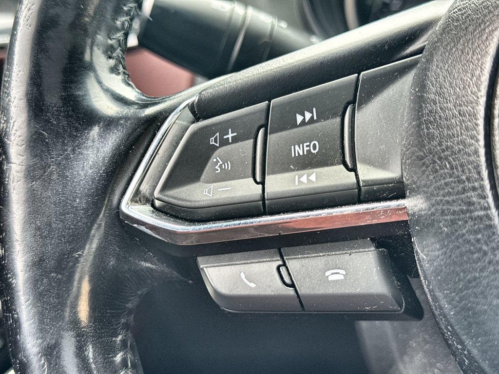 2017 Mazda CX-9 Signature | Roof | Cam | USB in Saint John, New Brunswick - 20 - w1024h768px