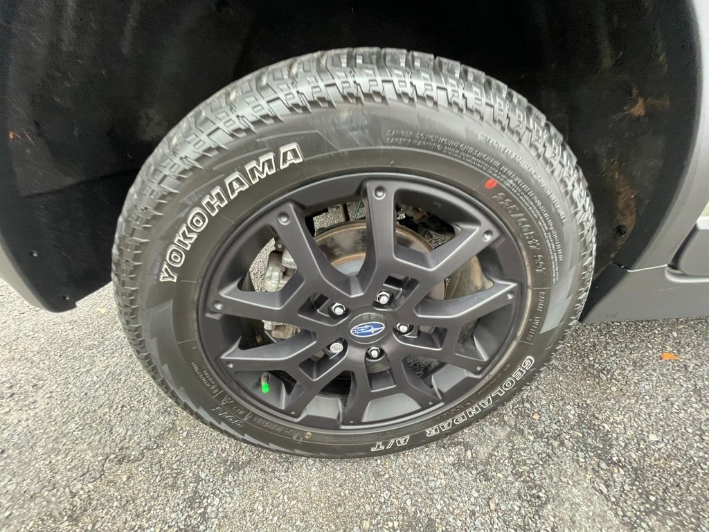 2024 Subaru Crosstrek Wilderness| SunRoof | Cam | USB | Warranty to 2028 in Saint John, New Brunswick - 39 - w1024h768px