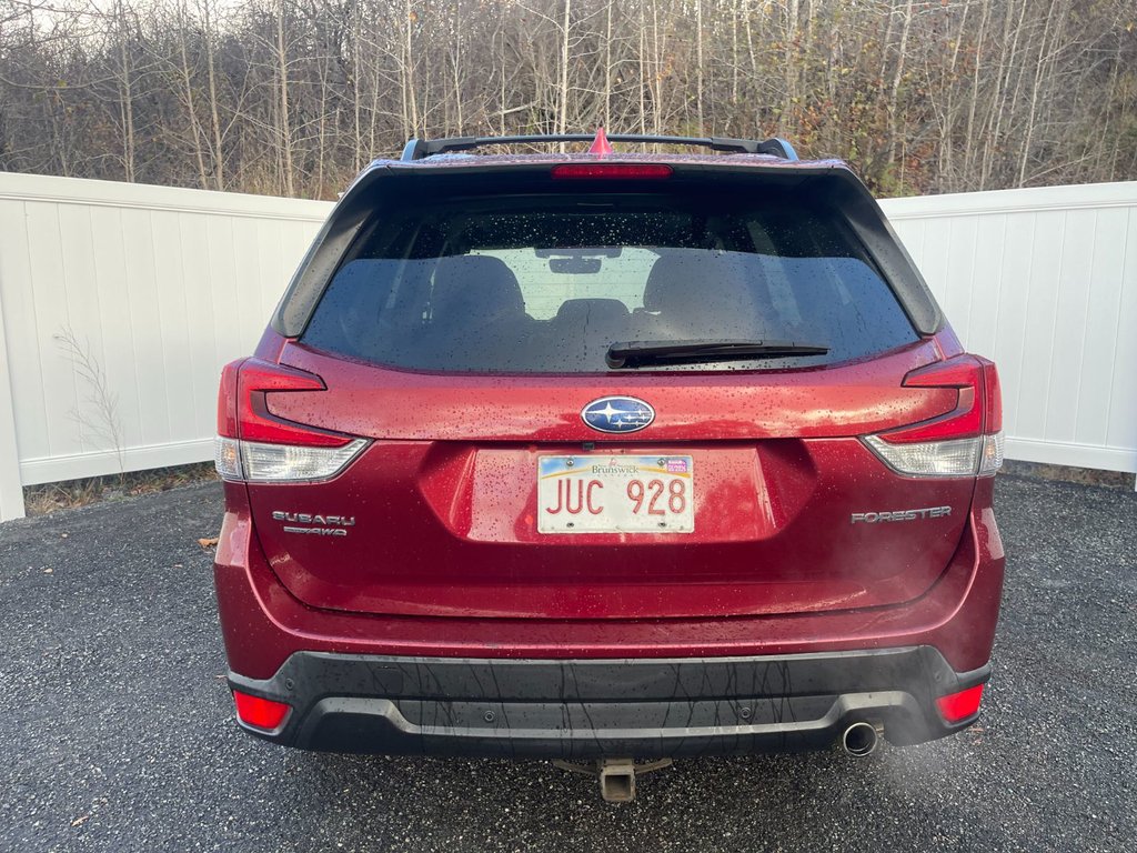 Subaru Forester Limited | Leather | Roof | Nav | USB | Cam 2019 à Saint John, Nouveau-Brunswick - 4 - w1024h768px