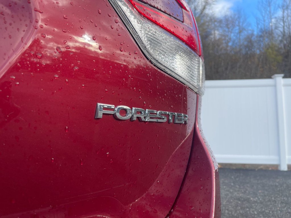 Subaru Forester Limited | Leather | Roof | Nav | USB | Cam 2019 à Saint John, Nouveau-Brunswick - 47 - w1024h768px