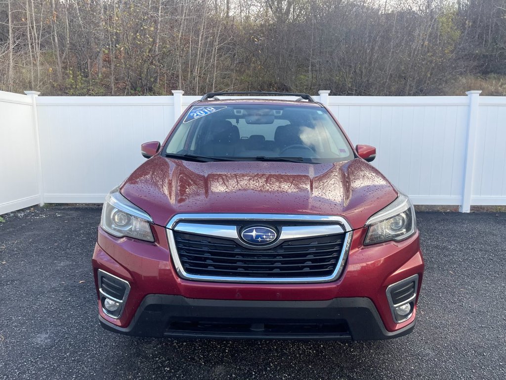 Subaru Forester Limited | Leather | Roof | Nav | USB | Cam 2019 à Saint John, Nouveau-Brunswick - 8 - w1024h768px