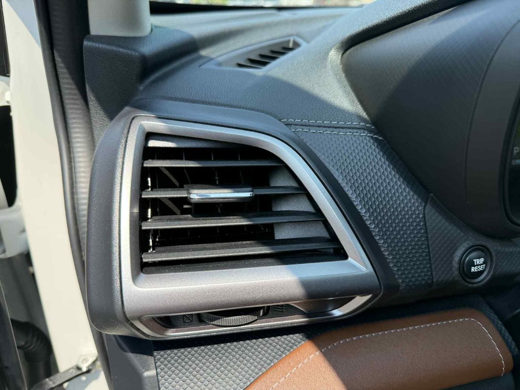 2023 Subaru Forester in Antigonish, Nova Scotia - 17 - w1024h768px