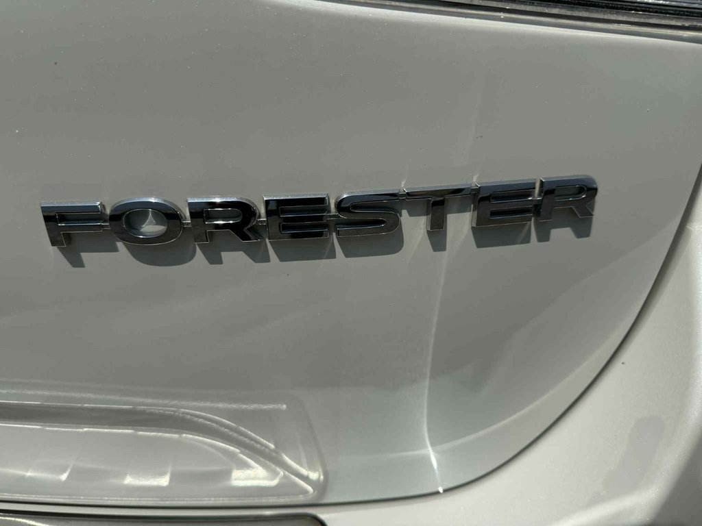 2023 Subaru Forester in Antigonish, Nova Scotia - 45 - w1024h768px