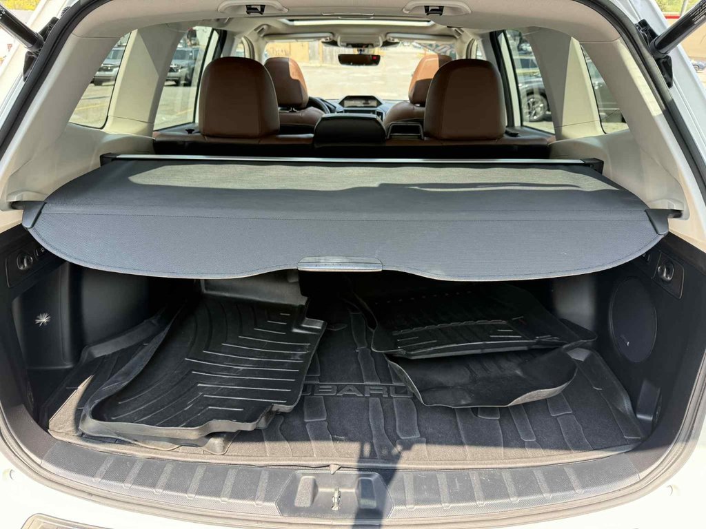 2023 Subaru Forester in Antigonish, Nova Scotia - 12 - w1024h768px