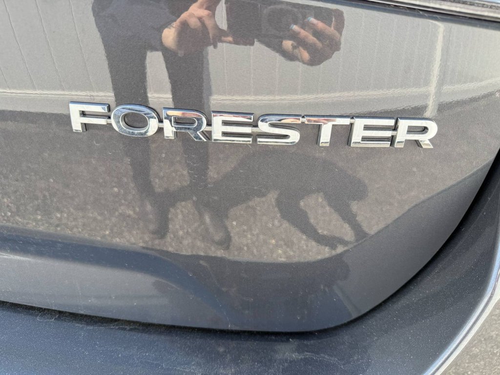 Subaru Forester TOURING | Sunroof | Htdseat |  Warranty to 2028 2023 à Saint John, Nouveau-Brunswick - 43 - w1024h768px