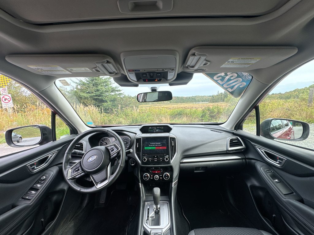 2023 Subaru Forester in Antigonish, Nova Scotia - 16 - w1024h768px