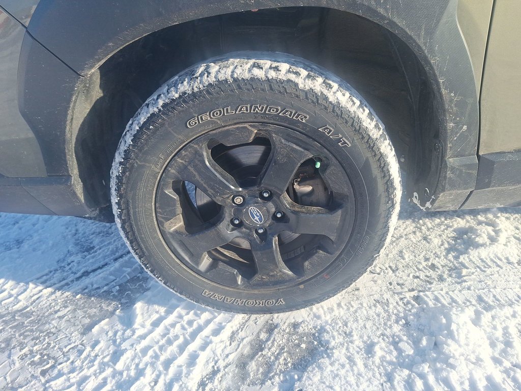 2024 Subaru Forester in Antigonish, Nova Scotia - 10 - w1024h768px