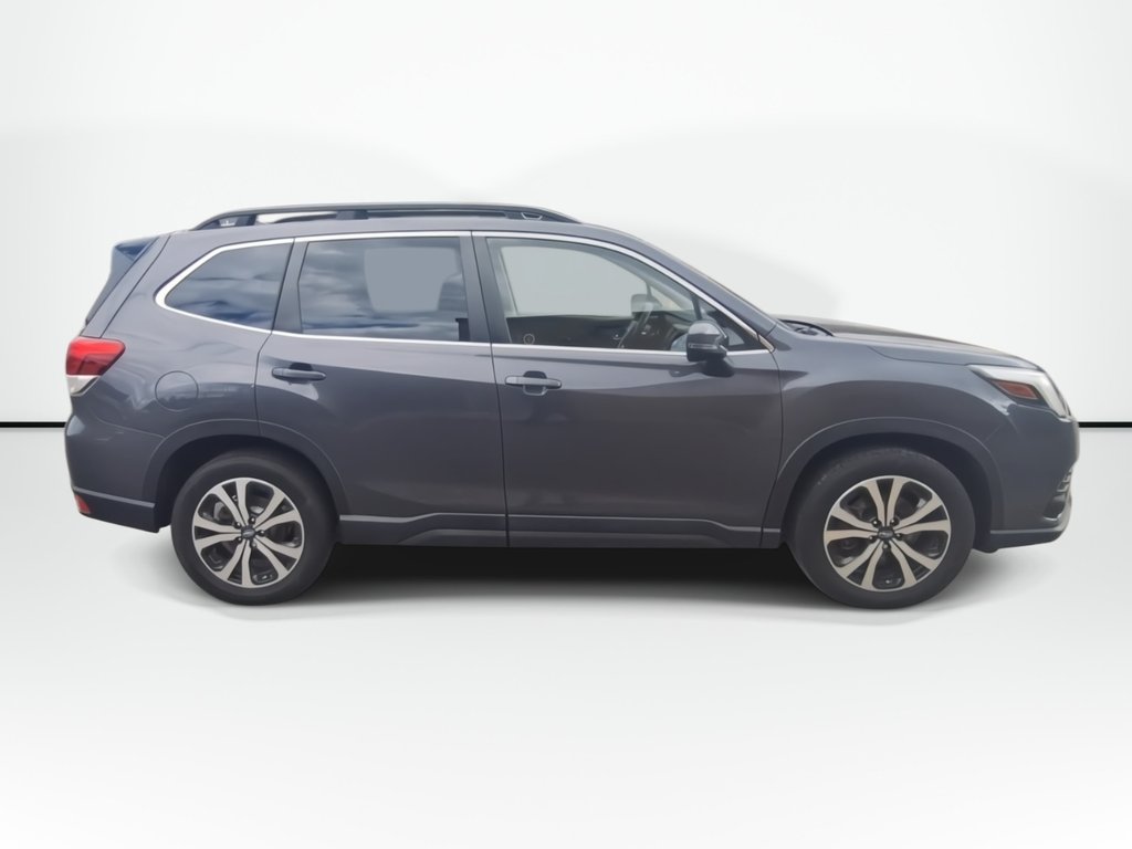 2024 Subaru Forester in Antigonish, Nova Scotia - 9 - w1024h768px