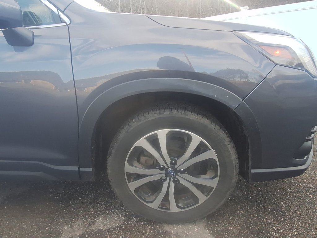 2024 Subaru Forester Limited | Leather | Roof | Nav | Cam | Htd Wheel in Saint John, New Brunswick - 10 - w1024h768px