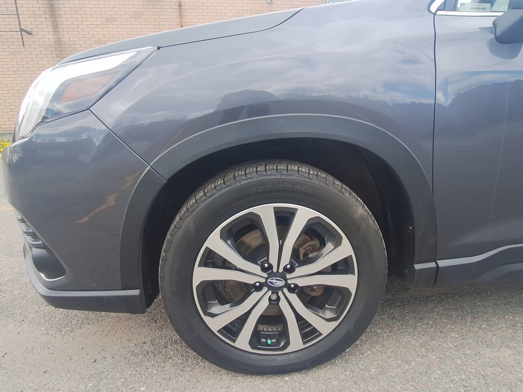 2024 Subaru Forester in Antigonish, Nova Scotia - 10 - w1024h768px