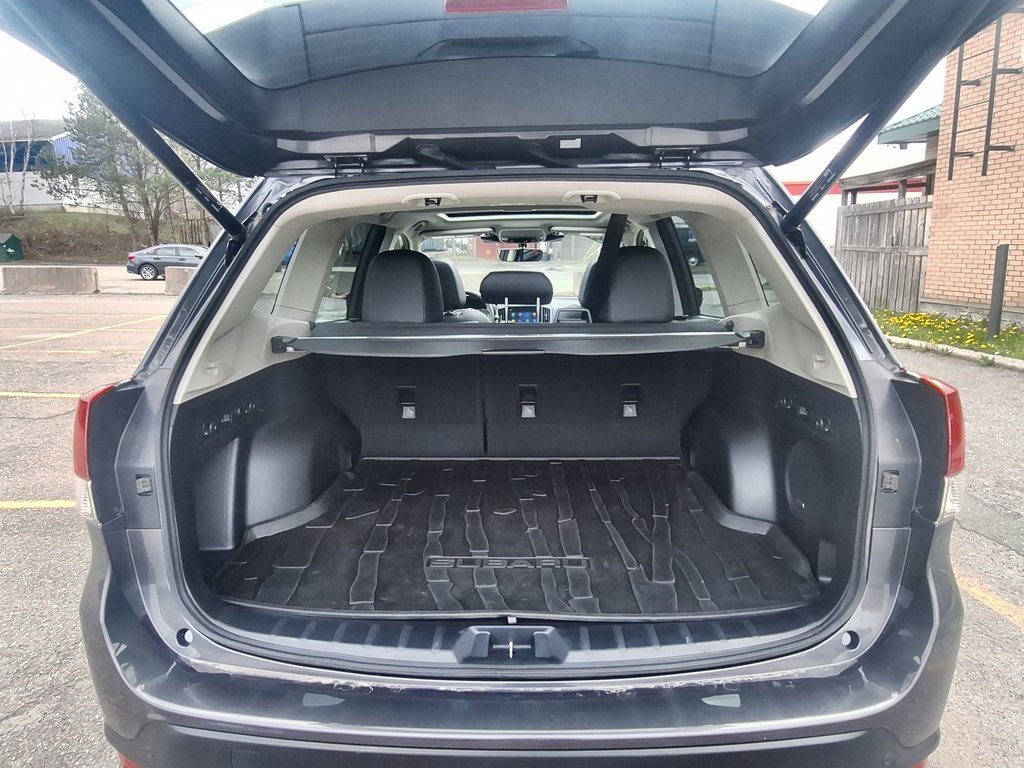 2024 Subaru Forester in Antigonish, Nova Scotia - 36 - w1024h768px