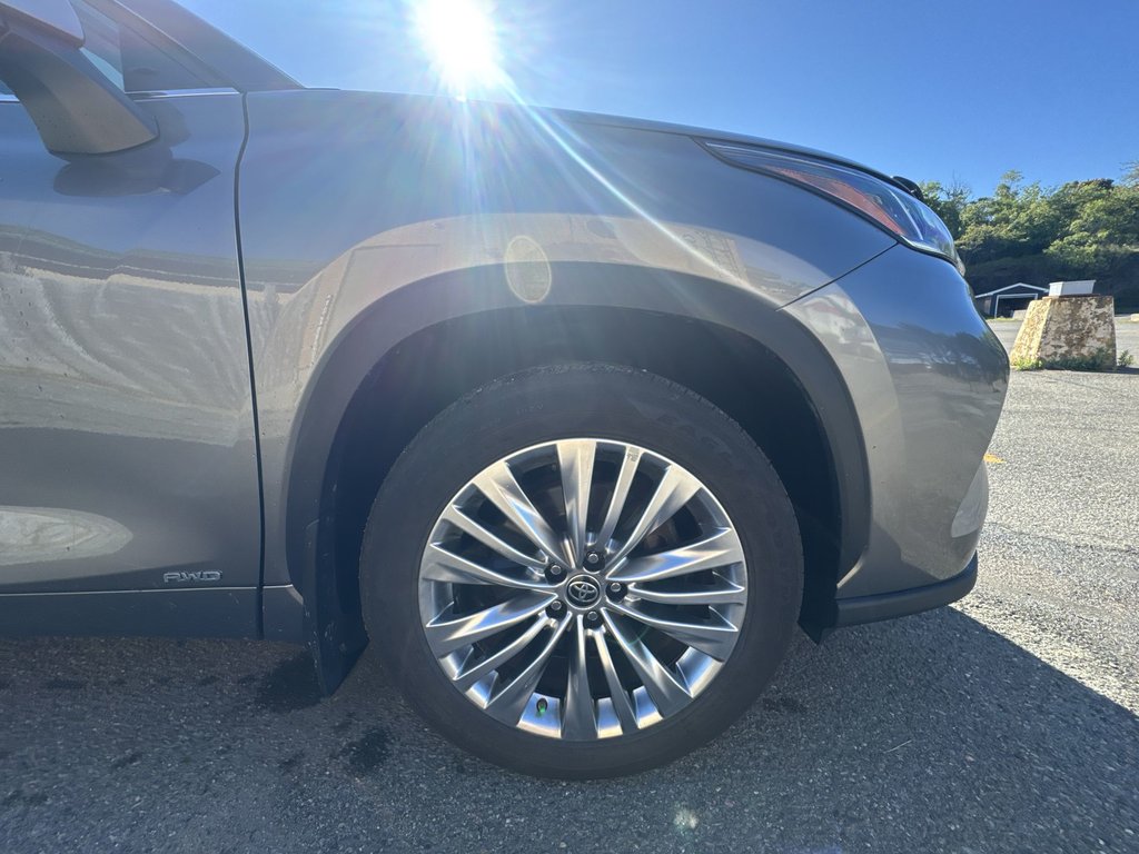 2025 Toyota Highlander Hybrid Platinum | Roof | Cam |  Warranty to 2030 in Saint John, New Brunswick - 10 - w1024h768px