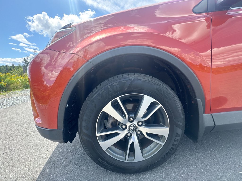 2016 Toyota RAV4 XLE | Roof | Cam | USB | Htd Seats in Saint John, New Brunswick - 10 - w1024h768px