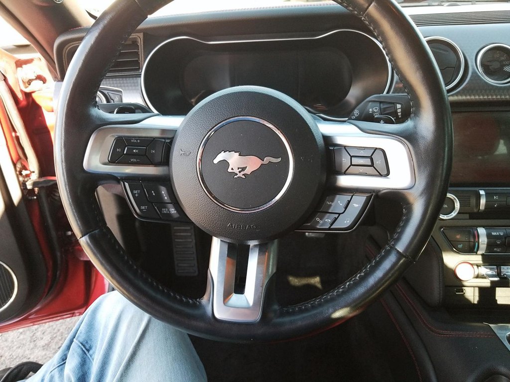 Mustang GT 2018 à Amos, Québec - 28 - w1024h768px