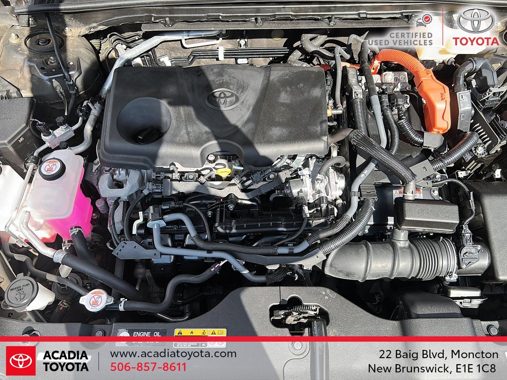 Toyota Crown XLE 2023 à Moncton, Nouveau-Brunswick - 8 - w1024h768px