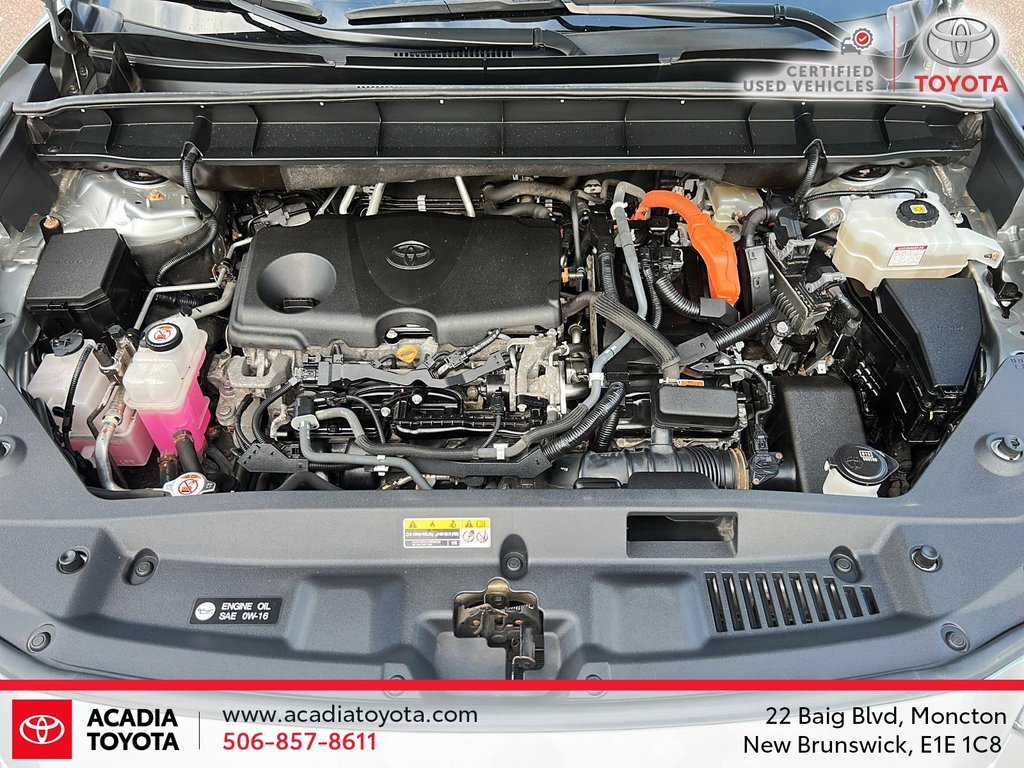 Toyota Highlander Hybrid Limited 2020 à Moncton, Nouveau-Brunswick - 8 - w1024h768px