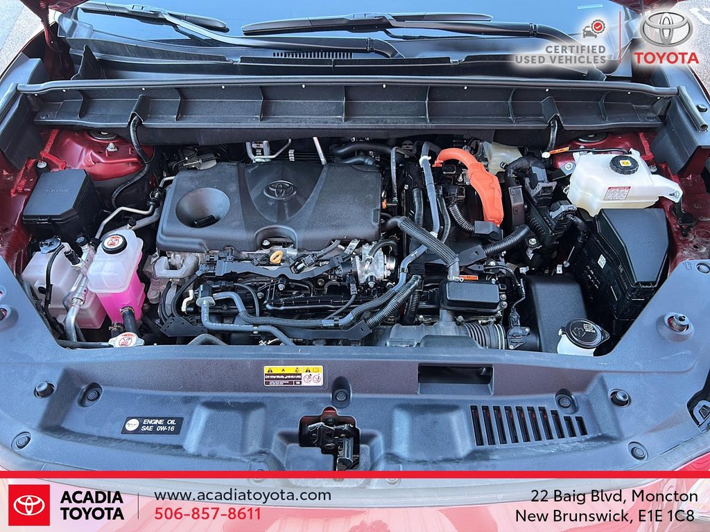 2024 Toyota Highlander Hybrid XLE in Moncton, New Brunswick - 8 - w1024h768px