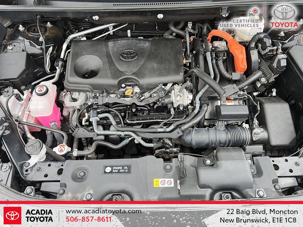 Toyota RAV4 Hybrid XLE 2023 à Moncton, Nouveau-Brunswick - 8 - w1024h768px