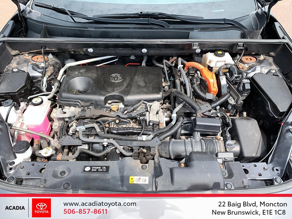 Toyota RAV4 Hybrid LE 2020 à Moncton, Nouveau-Brunswick - 8 - w1024h768px